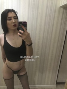 Транс Шымкента Транс№239681 Janelya Si Фотография №2673073